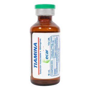 TIAMINA SLN INY 1G 10ML X UNID (OFERTA)